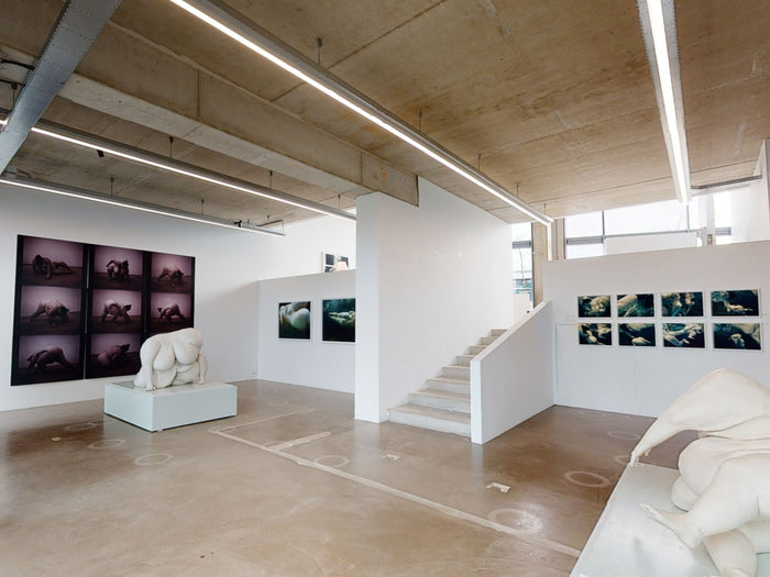 5 Virtual Photography Exhibitions to Visit From Home