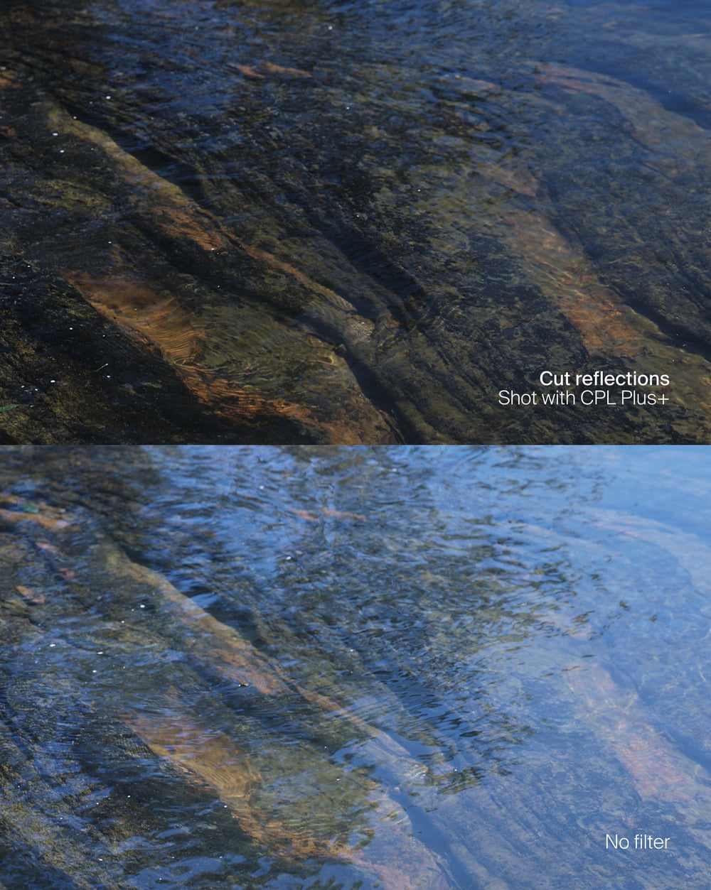 Magnetic CPL Filter Plus