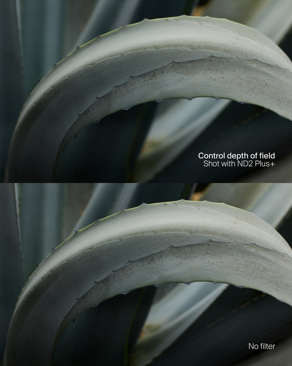 ND Spectrum Filter Kit Plus