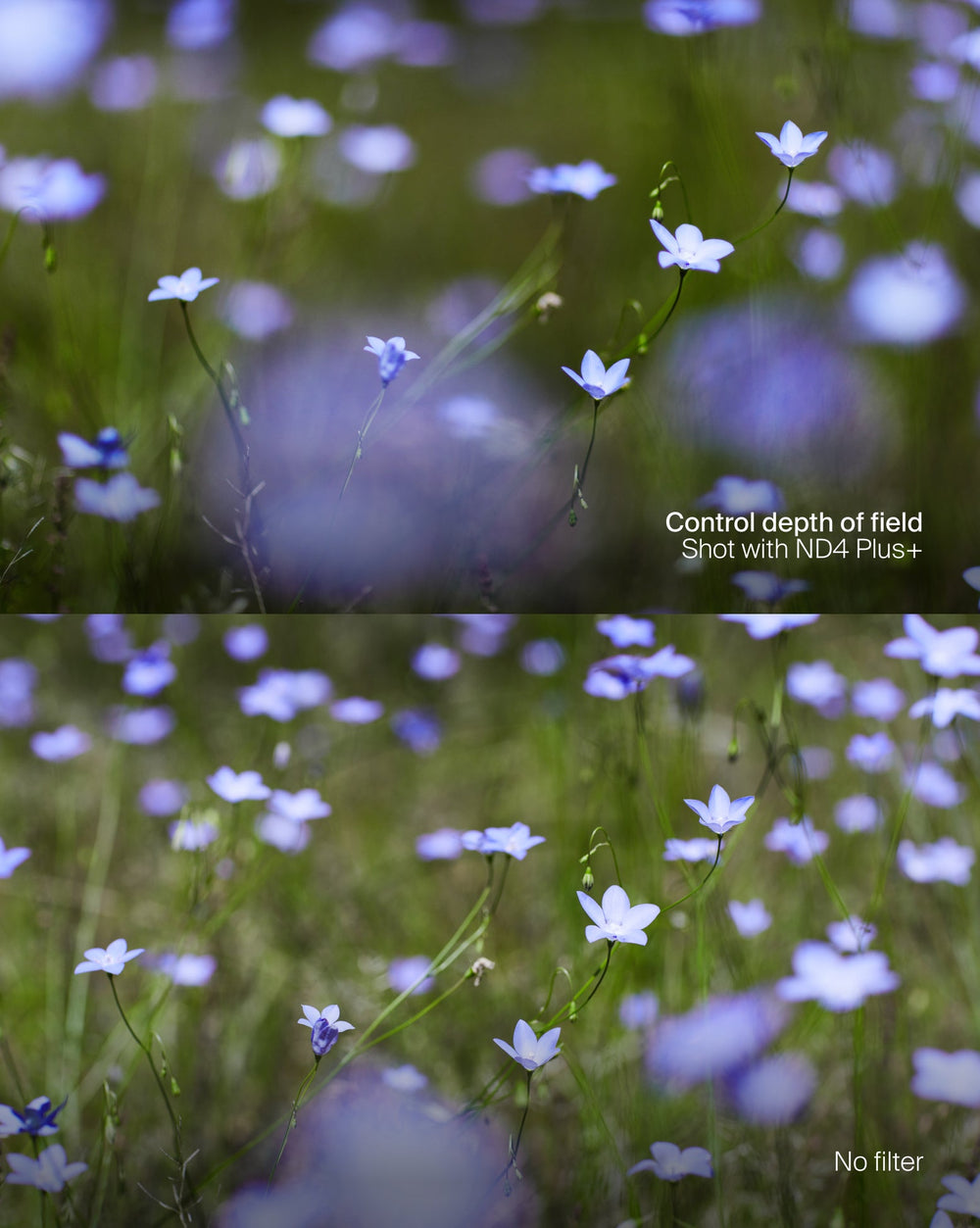 ND Spectrum Filter Kit Plus