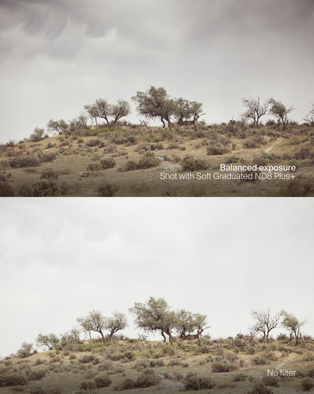 Soft Graduated ND8 Filter Plus