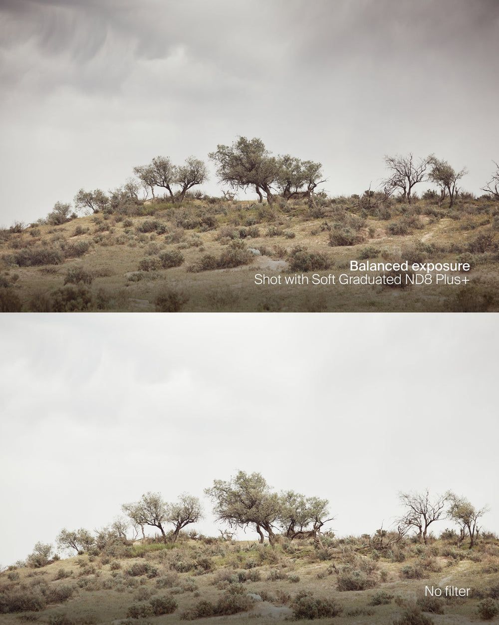 Soft Graduated ND8 Filter Plus